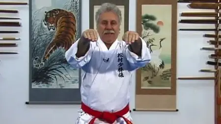 Okinawan White Crane Karate - Speed And Evasion Vol. 2