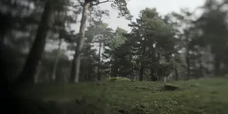 The Walking Dead: Daryl Dixon S03E06