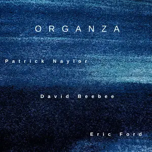 Patrick Naylor - Organza (2025) [Official Digital Download]