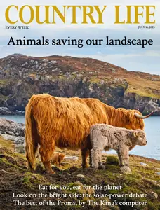 Country Life UK - July 16, 2025
