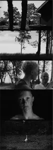 The Island (2023)