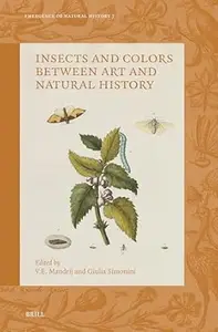 Insects and Colors Between Art and Natural History