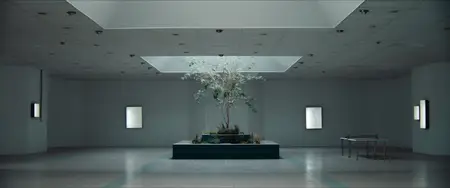 Double Blind (2024)