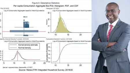 Stata Programming-Mastering Household Survey Data Processing