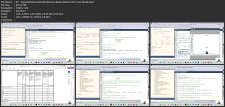 Stata Programming-Mastering Household Survey Data Processing