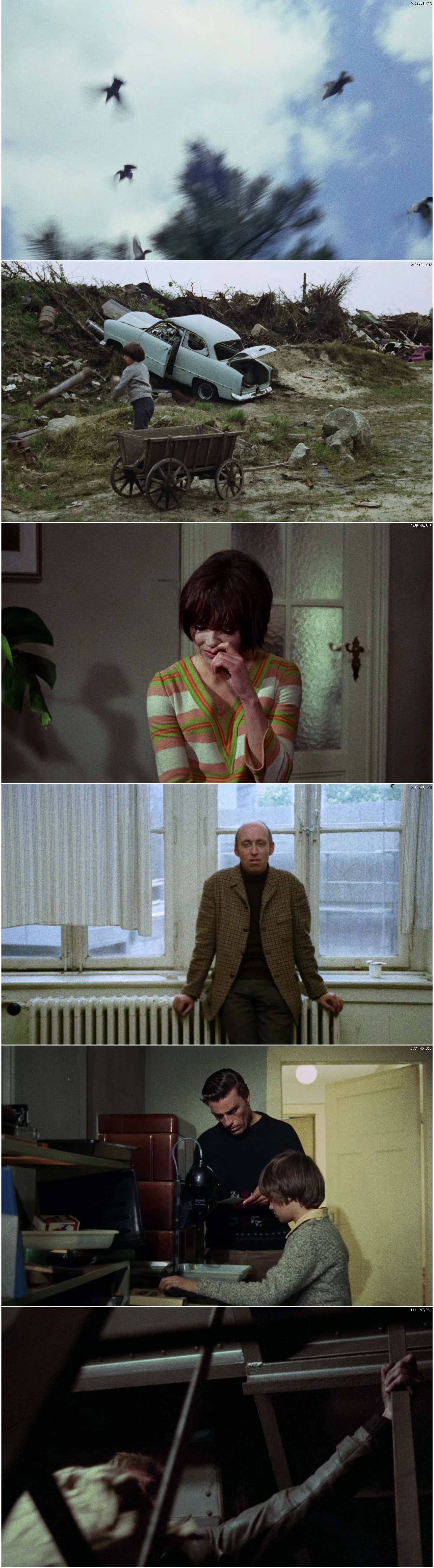 Little Vampire (1968) Bübchen