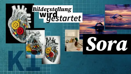 Erste Schritte mit Sora