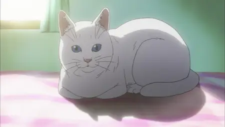 Toshokan Sensou - S1 (Situation - Love Handicap