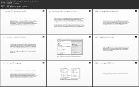 The Design of Web APIs, Second Edition, Video Edition