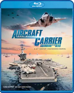 Aircraft Carrier: Guardian of the Seas (2016)