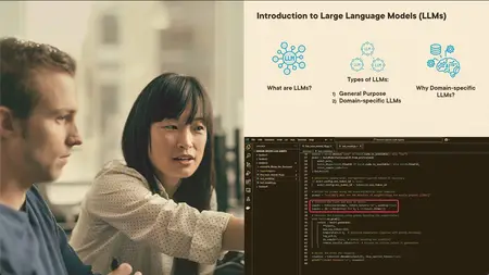 Domain-specific LLM Agents