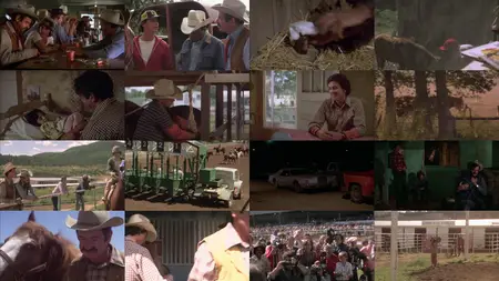 Casey's Shadow (1978)