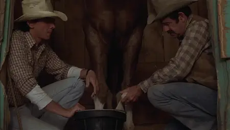 Casey's Shadow (1978)
