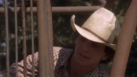 Casey's Shadow (1978)