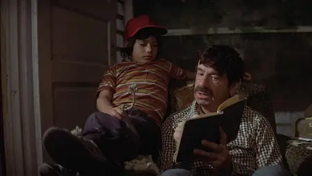 Casey's Shadow (1978)