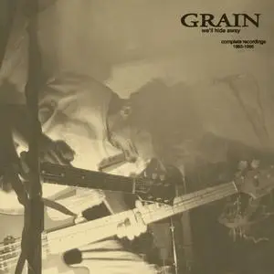 Grain - We'll Hide Away Complete Recordings 1993-1995 (2023) [Official Digital Download]