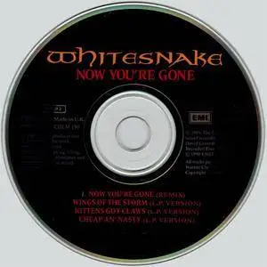 Whitesnake - Now You're Gone (UK CD5) (1990) {EMI}