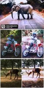 Vintage Camera Photo Effects MP4DQNT