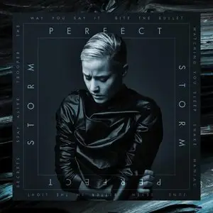 Vanbot - Perfect Storm (2015)