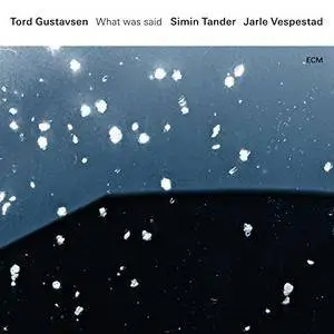 Tord Gustavsen, Simin Tander & Jarle Vespestad - What Was Said (2016) [Official Digital Download 24/96]