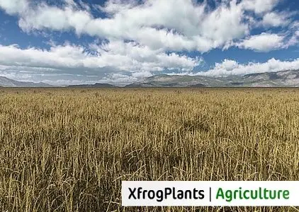 XfrogPlants | Agriculture Library vol.2