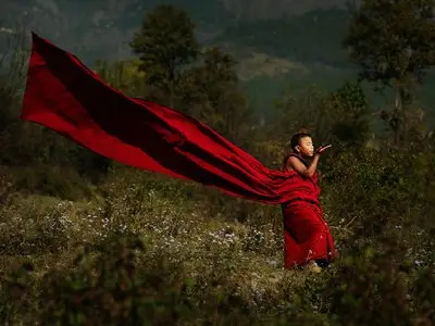 Finalists for the Hasselblad Masters Awards