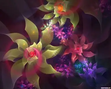 3D Flowers