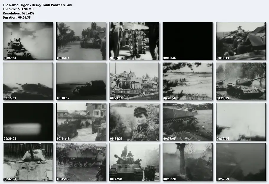 Tiger: Germany's WW2 Heavy Tank Panzer VI