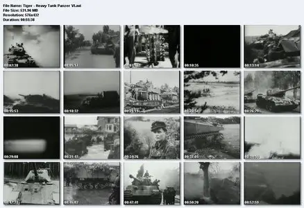 Tiger: Germany's WW2 Heavy Tank Panzer VI