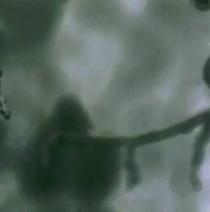 Pub - Sekatuo Ton (2006)