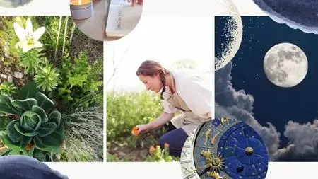 The Power of the Moon