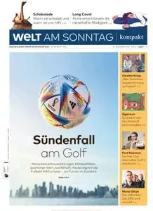 WELT AM SONNTAG Kompakt – 20. November 2022