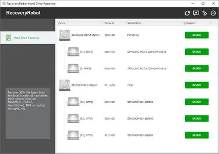 RecoveryRobot Hard Drive Recovery Business v1.3.1 Multilingual