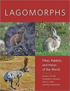 Lagomorphs