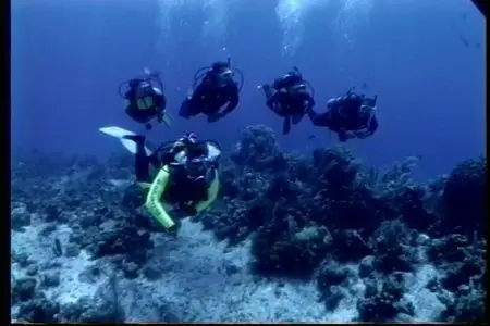 PADI - Divemaster video (Repost)