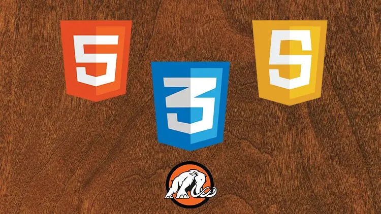 introduction to javascript css html programming