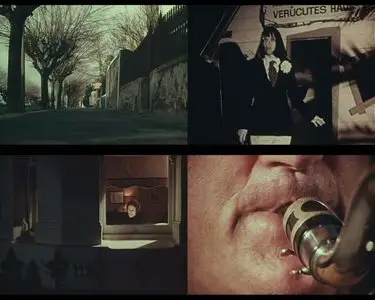 Peter Weir - Short Film Collection (2005)