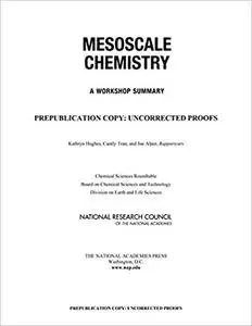 Mesoscale Chemistry: A Workshop Summary