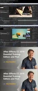 After Effects CC 2019 Essential Training: Editors and Post
