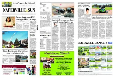 Naperville Sun – November 09, 2018