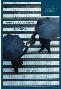 White Collar Crime and Risk: Financial Crime, Corruption and the Financial Crisis