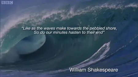 The Secret Life of Waves