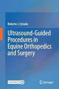 Ultrasound-Guided Procedures in Equine Orthopedics and Surgery