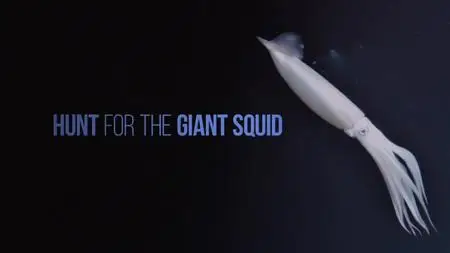 NG. - Hunt For The Giant Squid (2019)