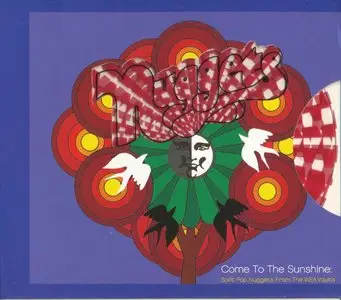 VA - Come to the Sunshine: Soft Pop Nuggets from the WEA Vaults (2004)