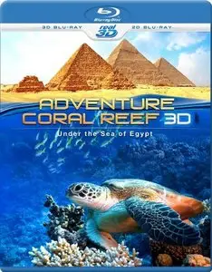 Adventure Coral Reef Under The Sea Of Egypt (2012)