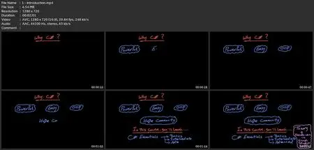 Learn To Program With C# From Scratch | C# Immersive