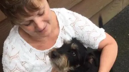 Learn How To Massage Your Own Dog