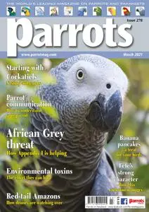 Parrots – March 2021