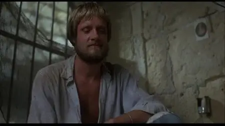 Midnight Express (1978) [30th Anniversary Edition]